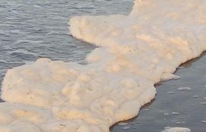 وزارة البيئة تتحدث عن ظاهرة زبد البحر ببور سعيد: ليست خطرا وتحدث فى كل بحار العالم