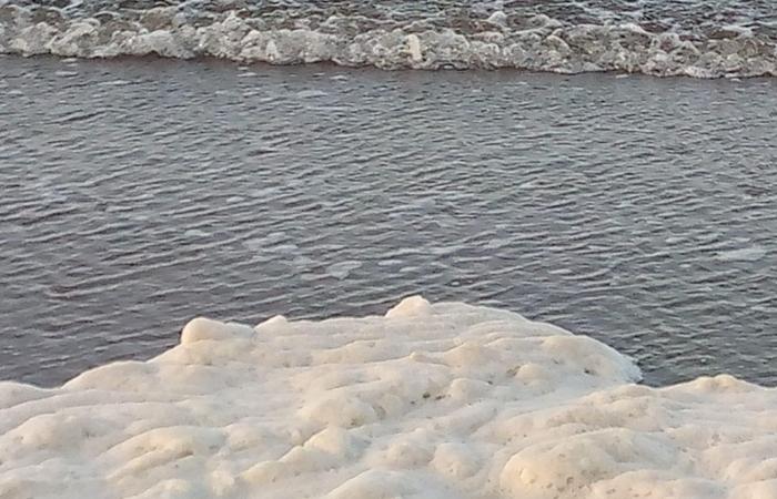 وزارة البيئة تتحدث عن ظاهرة زبد البحر ببور سعيد: ليست خطرا وتحدث فى كل بحار العالم