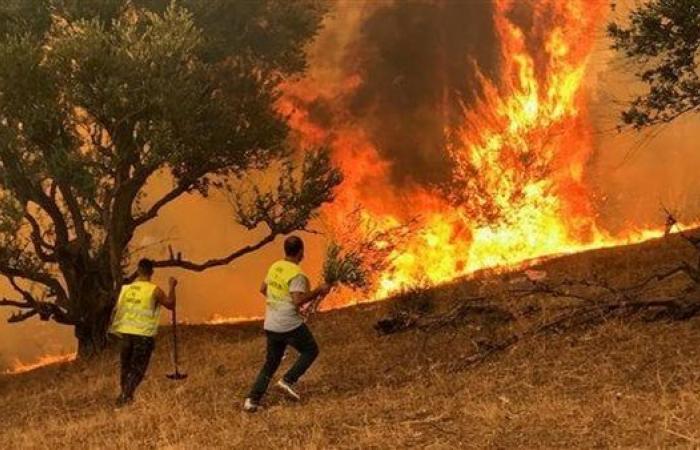 الجزائر تعلن حصيلة المتضررين من حرائق الغاباتالإثنين 18/سبتمبر/2023 - 10:47 م
تعرضت عدة مناطق شرقي الجزائر لحرائق غابات متفرقة، يوم الجمعة الماضي، لكن فرق الإطفاء تمكنت من السيطرة عليها، وشمل ذلك استخدام طائرات الإطفاء.