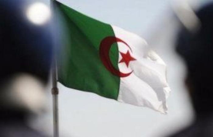 الجزائر: نولى أهمية لدعم وتطوير الشركات الناشئة محليًا وإقليميًا