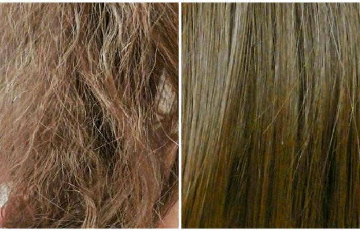 بثلاثة مكونات فقط اعيدي بناء شعرك التالفالإثنين 18/سبتمبر/2023 - 08:48 م
الشعر التالف من المشكلات التى تواجه العديد من الفتيات وتؤثر بشكل سلبي على نمو الشعر ومظهره، ما يزعج الفتيات كثيرا.