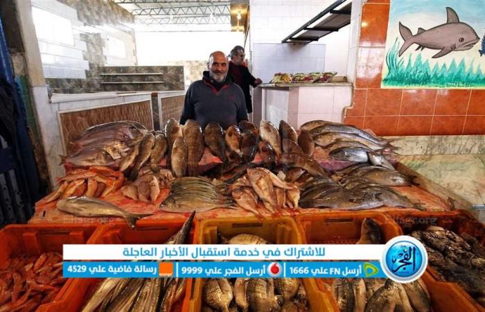 تراجع 5 أنواع.. أسعار السمك اليوم 8 فبراير في الأسواق