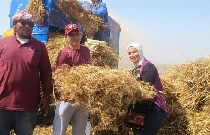 ارتفاع المورد من القمح المحلي موسم 2024 بالدقهلية إلى 251 ألف طنالخميس 16/مايو/2024 - 06:37 ص
ارتفاع المورد من القمح المحلي موسم 2024 إلى 251 ألف طن