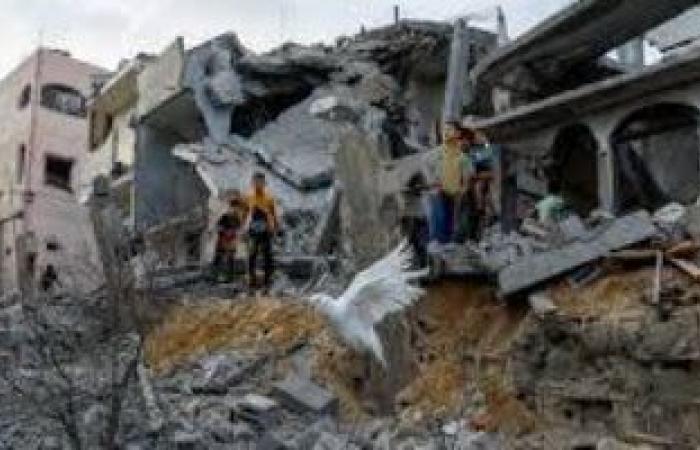 استطلاع: غالبية البريطانيين يؤيدون وقفا فوريا لإطلاق النار فى غزة