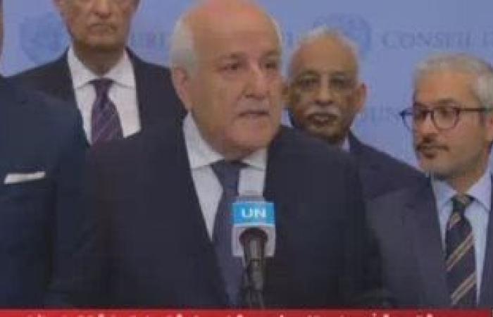 المجموعة العربية بمجلس الأمن ترحب بقرارات محكمة العدل الدولية