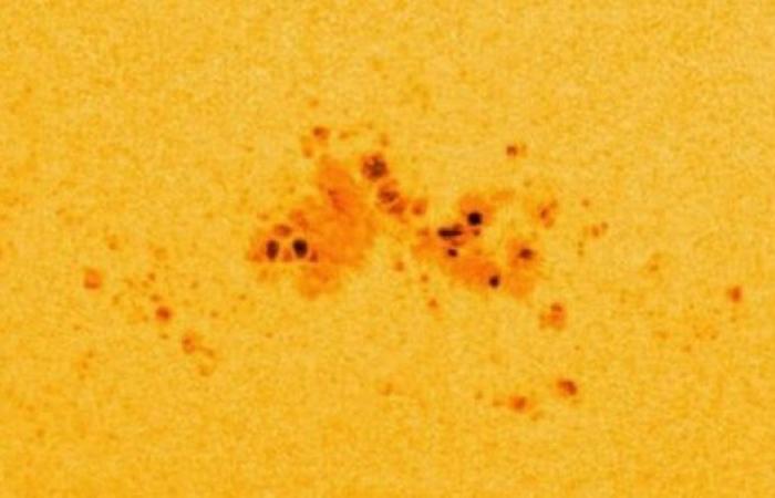 حكاية بقعة شمسية تثير قلق العلماءالإثنين 03/يونيو/2024 - 01:30 م
عادت منطقة البقع الشمسية AR 3697، المعروفة سابقًا باسم AR 3664، إلى الظهور بعد اختفائها عن الأنظار في منتصف مايو الماضي.