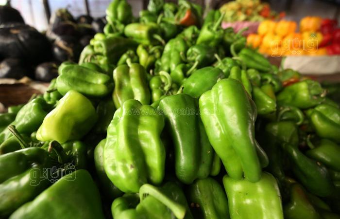 أسعار الخضراوات اليوم، البامية تبدأ من 15 جنيهًا في سوق العبورالسبت 15/يونيو/2024 - 12:00 م
«فيتو» تستعرض سعر الخضراوات في سوق العبور للجملة اليوم السبت الموافق 15 يونيو 2024، في الجدول الآتي: