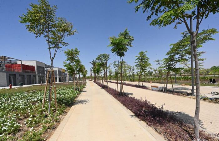 وزير الإسكان: زراعة 46 ألف شجرة ونخلة مثمرة وغير مثمرة بمشروع الحدائق المركزية