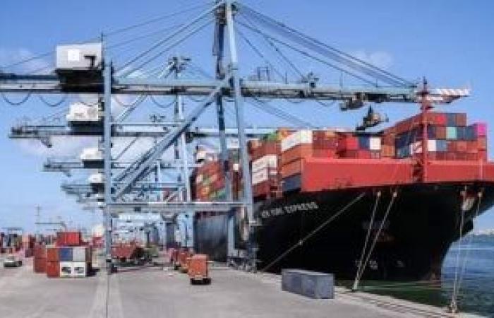 ميناء دمياط يستقبل 400 طن علف وذرة خلال 24 ساعة