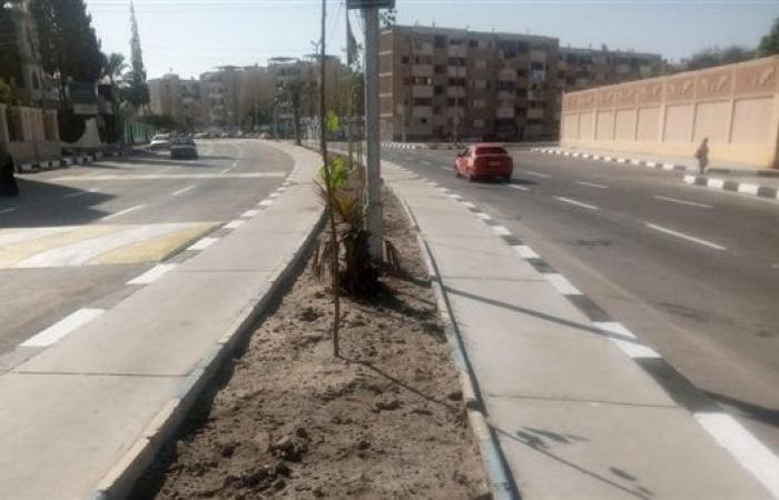 زراعة أشجار التوت العماني بشوارع الإسماعيلية (صور)السبت 19/أكتوبر/2024 - 11:25 م
فى إطار الجهود التي تقوم بها الأحياء والوحدات المحلية والمديريات الخدمية للعمل على تحسين البيئة للمواطنين