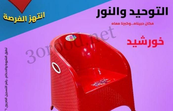 عروض التوحيد والنور من 21 اكتوبر 2024 حتى نفاذ الكمية كل احتياجات البيت العصرى