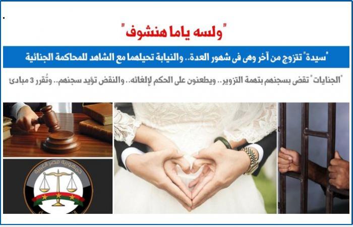 "النقض" تفصل فى نزاع "سيدة" تزوجت فى شهور العدة وترسخ لـ3 مبادئ.. برلمانى