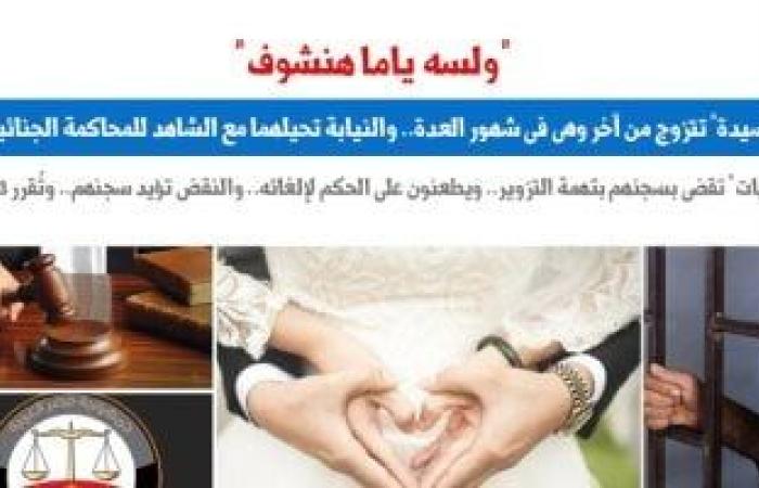 "النقض" تفصل فى نزاع "سيدة" تزوجت فى شهور العدة وترسخ لـ3 مبادئ.. برلمانى