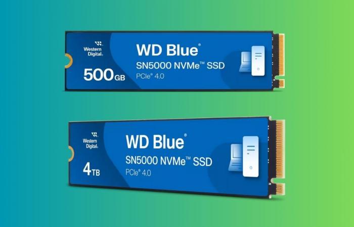 “WD Blue SN5000”: حل التخزين الأمثل للإبداع والعمل والألعاب