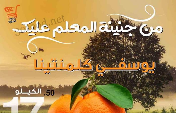 عروض اولاد المحلاوى من 1 نوفمبر حتى 5 نوفمبر 2024 عروض الجمعة البيضاء