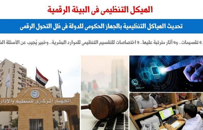 التحول الرقمى وتحديث الهياكل التنظيمية فى الجهاز الحكومى.. برلماني