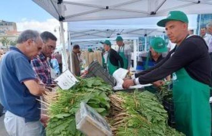 زيرو ربح زيرو شحن.. سوق اليوم الواحد من المنتج للمستهلك دون أى وسيط