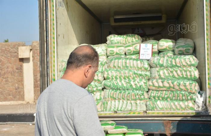 وزير التموين: طرح جميع السلع بأسعار مخفضة في سوق اليوم الواحد (فيديو)الجمعة 15/نوفمبر/2024 - 11:33 ص
افتتح الدكتور شريف فاروق وزير التموين والتجارة الداخلية، منذ قليل، سوق اليوم الواحد بمحافظة القاهرة أمام مسجد أل رشدان بمدينة نصر.