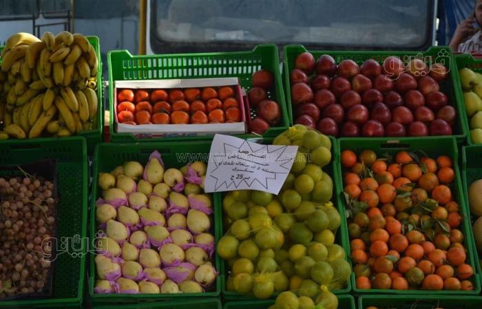 وزير التموين: طرح جميع السلع بأسعار مخفضة في سوق اليوم الواحد (فيديو)الجمعة 15/نوفمبر/2024 - 11:33 ص
افتتح الدكتور شريف فاروق وزير التموين والتجارة الداخلية، منذ قليل، سوق اليوم الواحد بمحافظة القاهرة أمام مسجد أل رشدان بمدينة نصر.