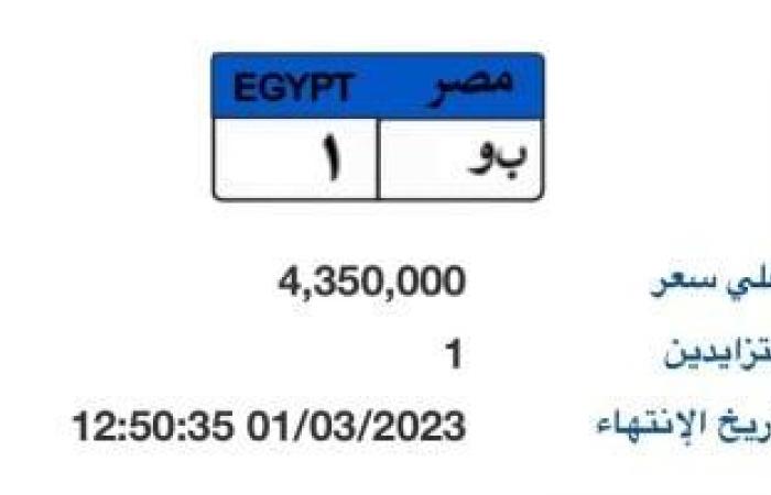 اعرف القيمة المضافة لصندوق تحيا مصر من شراء اللوحات المميزة للسيارات