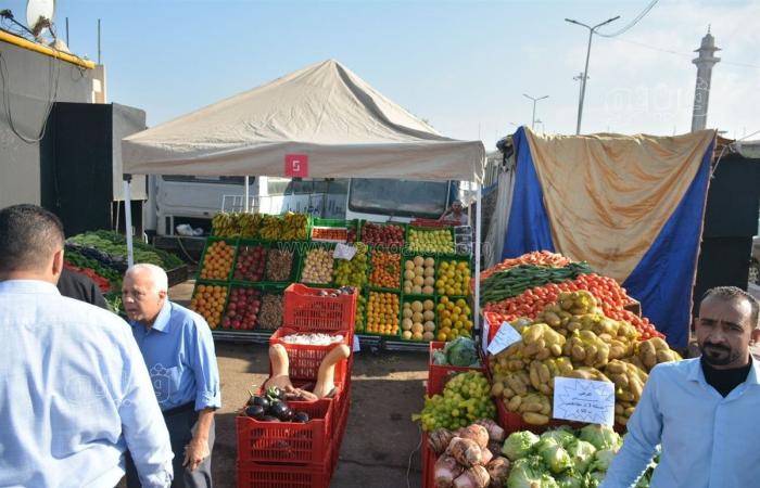 وزير التموين: طرح جميع السلع بأسعار مخفضة في سوق اليوم الواحد (فيديو)الجمعة 15/نوفمبر/2024 - 11:33 ص
افتتح الدكتور شريف فاروق وزير التموين والتجارة الداخلية، منذ قليل، سوق اليوم الواحد بمحافظة القاهرة أمام مسجد أل رشدان بمدينة نصر.