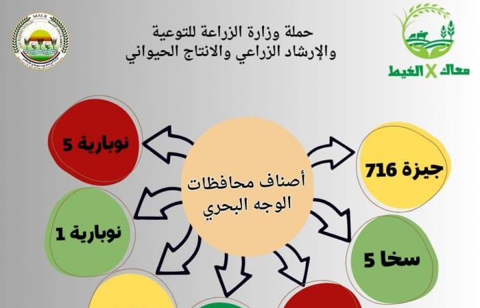 الزراعة تحدد كمية تقاوى فدان الفول بـ 30 كيلوالأحد 17/نوفمبر/2024 - 06:05 م
كشفت وزارة الزراعة من خلال صفحتها على مواقع التواصل الاجتماعى كمية التقاوى المناسبةللفدان وقالت ان الفدان يحتاج من 40 الى 50 كيلو من البذور الكبيرة و30 كيلو جرام من البذور المتوسطة الحجم