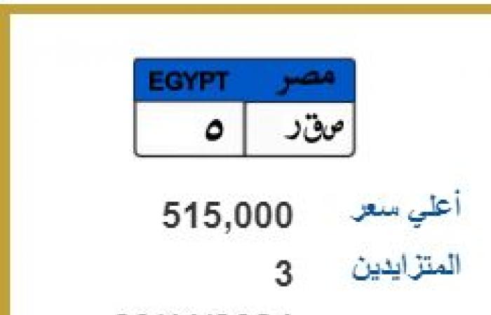 "صقر وقوة" تجاوزا نصف مليون جنيه، أسعار اللوحات المعدنية المميزةالثلاثاء 19/نوفمبر/2024 - 08:12 ص