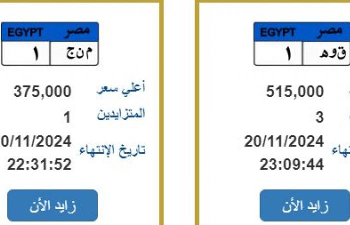 "صقر وقوة" تجاوزا نصف مليون جنيه، أسعار اللوحات المعدنية المميزةالثلاثاء 19/نوفمبر/2024 - 08:12 ص