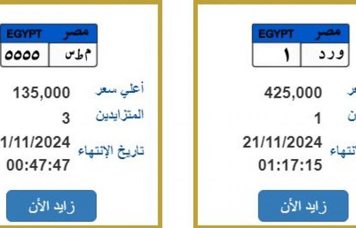 "صقر وقوة" تجاوزا نصف مليون جنيه، أسعار اللوحات المعدنية المميزةالثلاثاء 19/نوفمبر/2024 - 08:12 ص