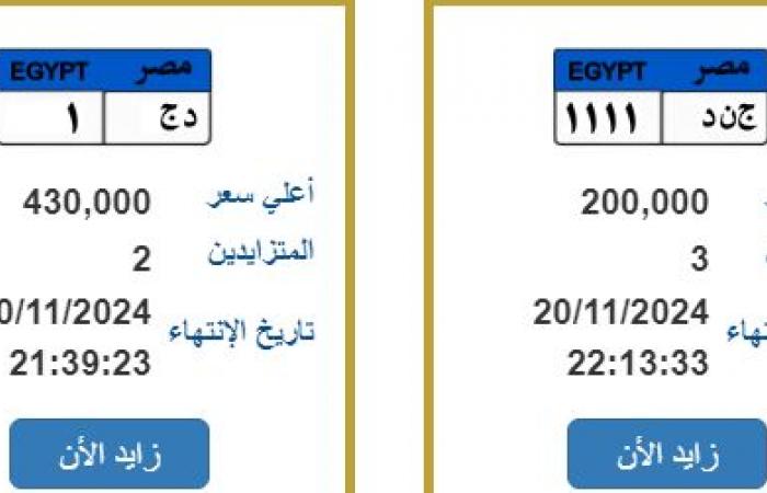 "صقر وقوة" تجاوزا نصف مليون جنيه، أسعار اللوحات المعدنية المميزةالثلاثاء 19/نوفمبر/2024 - 08:12 ص