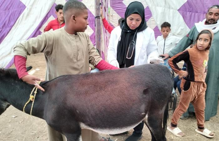 بيطري الأقصر تدشن قافلة مجانية بالطود (صور)الجمعة 29/نوفمبر/2024 - 01:13 م
انطلقت أعمال القافلة البيطرية المجانية بالعديسات القبلي بمركز الطود جنوب محافظة الأقصر، وأوضح دكتور طارق لطفي مدير مديرية الطب البيطري بالأقصر أن القافلة قدمت خدمات طبية وصرف أدوية مجانية.