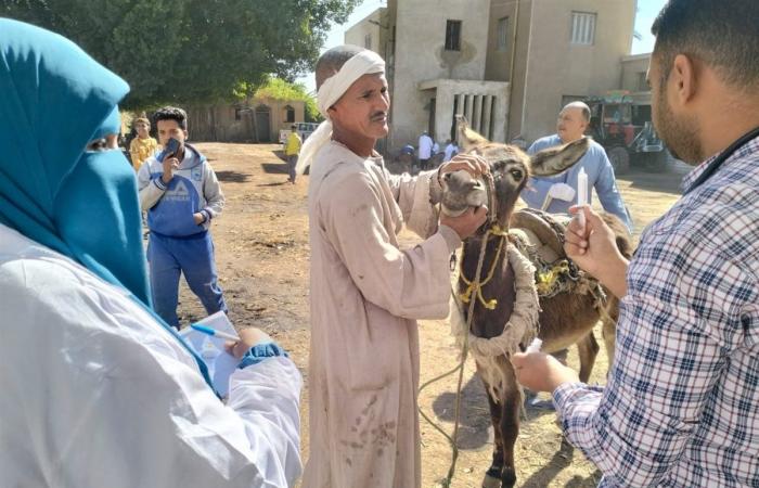 بيطري الأقصر تدشن قافلة مجانية بالطود (صور)الجمعة 29/نوفمبر/2024 - 01:13 م
انطلقت أعمال القافلة البيطرية المجانية بالعديسات القبلي بمركز الطود جنوب محافظة الأقصر، وأوضح دكتور طارق لطفي مدير مديرية الطب البيطري بالأقصر أن القافلة قدمت خدمات طبية وصرف أدوية مجانية.