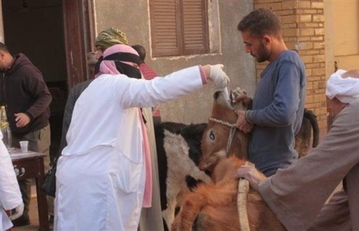 جامعة جنوب الوادي تنظم قافلة بيطرية وزراعية بقرية أبو شوشة في قناالأربعاء 11/ديسمبر/2024 - 11:26 ص
الدولة فى النهوض بالخدمات الزراعية للحصول على جودة عالية تحقق رفع معدل الاقتصاد للوصول للتنمية الشاملة.