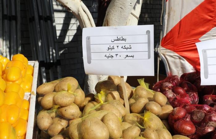 خلال ساعات، سوق اليوم الواحد بإمبابة يفتح أبوابه للمواطنين للأسبوع الثالثالجمعة 13/ديسمبر/2024 - 03:28 ص
تفتتح محافظة الجيزة اليوم الجمعة، سوق اليوم الواحد بشارع الصوامع بحي إمبابة، والذي تم افتتاحه الأسبوع الماضي بالتعاون مع وزارة التموين والتجارة الداخلية. وأعلنت محافظة الجيزة، عبر صفحتها الرسمية على موقع التواصل الاجتماعي فيسبوك، أمس الخميس، الانتهاء من التجهيزات النهائية لافتتاح سوق اليوم الواحد بإمبابة