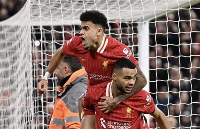 ليفربول بـ 10 لاعبين يتعادل بصعوبة مع فولهام 2-2 بالدوري الإنجليزي (فيديو وصور )السبت 14/ديسمبر/2024 - 07:02 م
تعادل فريق ليفربول مع نظيره فولهام بنتيجة 2-2 في المباراة التي جمعت الفريقين على أرضية ملعب الأنفيلد ضمن لقاءات الجولة السادسة عشر من الدوري الإنجليزي الممتاز.