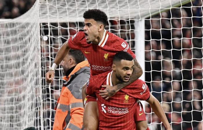 ليفربول بـ 10 لاعبين يتعادل بصعوبة مع فولهام 2-2 بالدوري الإنجليزي (فيديو وصور )السبت 14/ديسمبر/2024 - 07:02 م
تعادل فريق ليفربول مع نظيره فولهام بنتيجة 2-2 في المباراة التي جمعت الفريقين على أرضية ملعب الأنفيلد ضمن لقاءات الجولة السادسة عشر من الدوري الإنجليزي الممتاز.