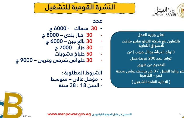 وزارة العمل تعلن عن 7878 فُرصة عمل جديدة في 101 شركة خاصة