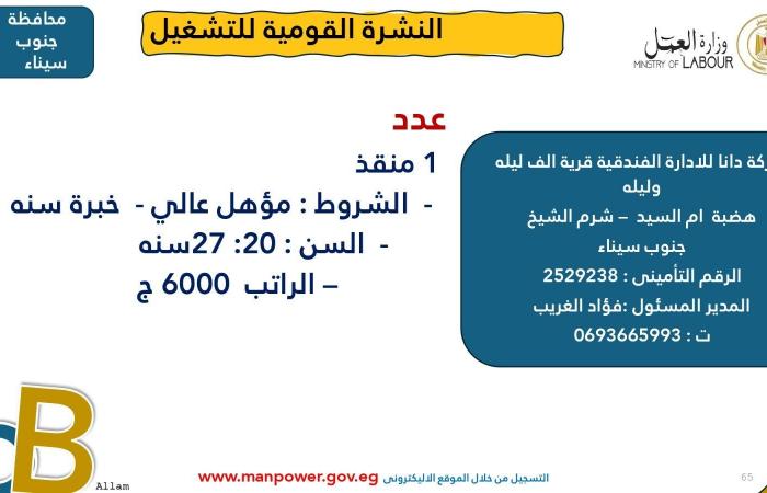 وزارة العمل تعلن عن 7878 فُرصة عمل جديدة في 101 شركة خاصة