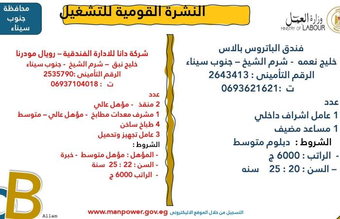 وزارة العمل تعلن عن 7878 فُرصة عمل جديدة في 101 شركة خاصة