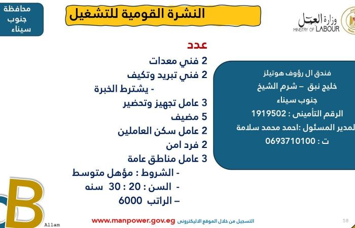 وزارة العمل تعلن عن 7878 فُرصة عمل جديدة في 101 شركة خاصة