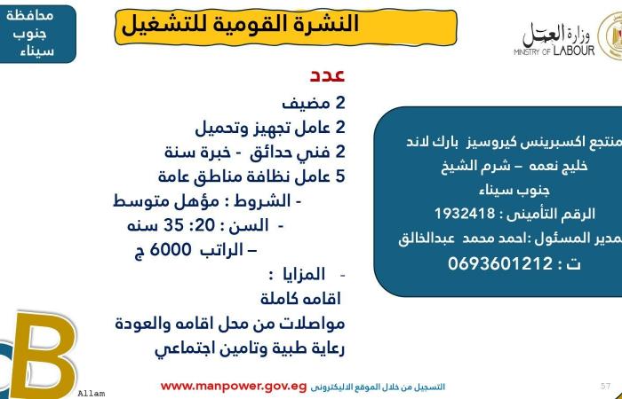 وزارة العمل تعلن عن 7878 فُرصة عمل جديدة في 101 شركة خاصة