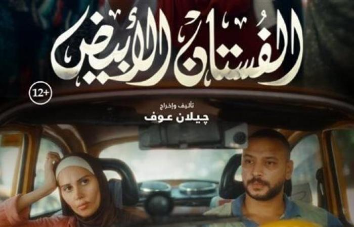 إيرادات هزيلة لفيلم الفستان الأبيض أمسالإثنين 16/ديسمبر/2024 - 02:55 م
حقق فيلم الفستان الأبيض والتي تقوم ببطولته ياسمين رئيس إيرادات ضعيفة مساء أمس الأحد في شباك التذاكر بدور آلعرض السينمائي