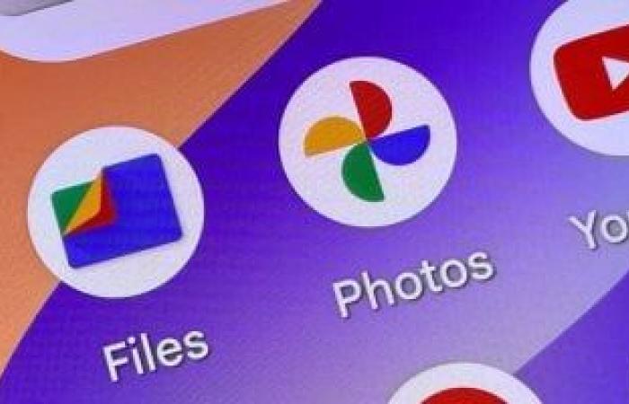 Google Files يضيف ميزة لإدارة ملفات PDF.. أعرف مميزاتها