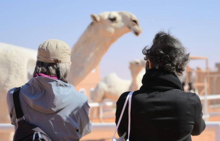 700 سائح من 30 دولة يزورون مهرجان الملك عبد العزيز للإبل