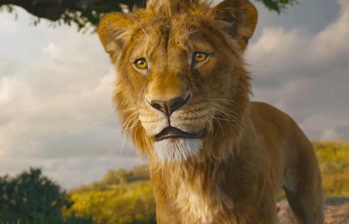 فيلم Sonic the Hedgehog 3 يتصدر سباق شباك التذاكر متفوقًا على Mufasa: The Lion King