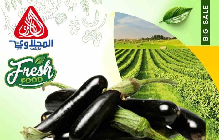 عروض المحلاوى ماركت من 26 ديسمبر حتى 28 ديسمبر 2024 عروض الفريش