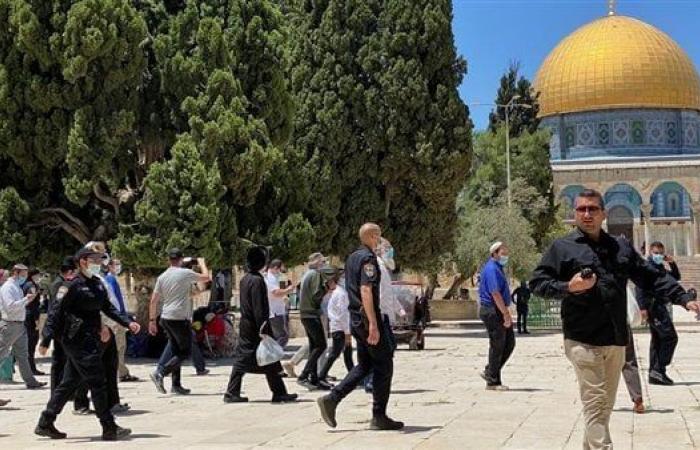 حكماء المسلمين يدين اقتحام وزير الأمن في حكومة الاحتلال الإسرائيلي للمسجد الأقصىالخميس 26/ديسمبر/2024 - 09:41 م
أدان مجلس حكماء المسلمين برئاسة فضيلة الإمام الأكبر أ. د. أحمد الطيب، شيخ الأزهر الشريف، بشدةٍ، اقتحام وزير الأمن القومي في حكومة الاحتلال الإسرائيلي إيتمار بن غفير، المسجد الأقصى المبارك تحت حماية شرطة الاحتلال الإسرائيلي. حكماء المسلمين يؤكد ضرورة وقف الانتهاكات الخطيرة والممارسات الاستفزازية بحق