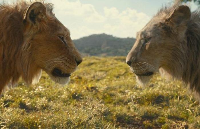 فيلم Mufasa يتصدر شباك التذاكر في موسم الأعياد بمبلغ 12 مليون دولار