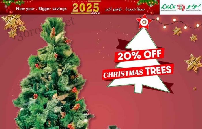 عروض لولو مصر اليوم 29 ديسمبر حتى 12 يناير 2025 عروض السنة الجديدة