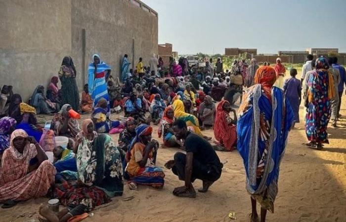 نموذج ليبيا، وزير خارجية السودان يحذر من مخطط كارثي يستهدف بلادهالإثنين 30/ديسمبر/2024 - 09:37 م
حذر وزير خارجية السودان علي يوسف الشريف، اليوم، من المشاورات التى تجريها بعض الأطراف السياسية والمدنية لتشكيل حكومة موازية لتقسيم البلاد على غرار سيناريو ليبيا .